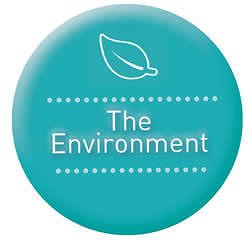 the_environment